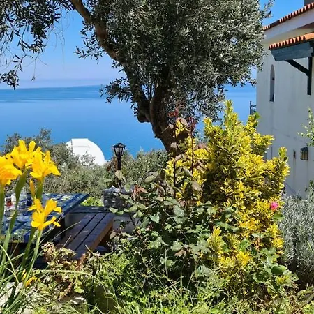 Captain's Kalivia (Skiathos)